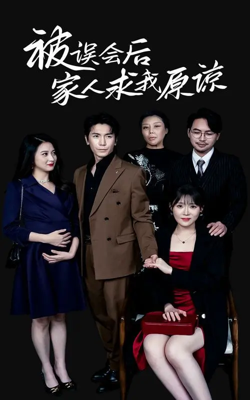 被误会后：家人请求原谅，情感纠葛与救赎之旅