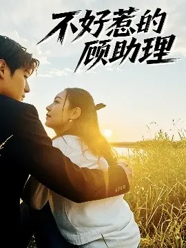 揭秘《不好惹的顾助理》：职场女强人逆袭的惊心故事