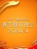 龙腾虎跃贺新春：2024央视春晚，传统与现代的奇妙碰撞，星光璀璨，创意无限！